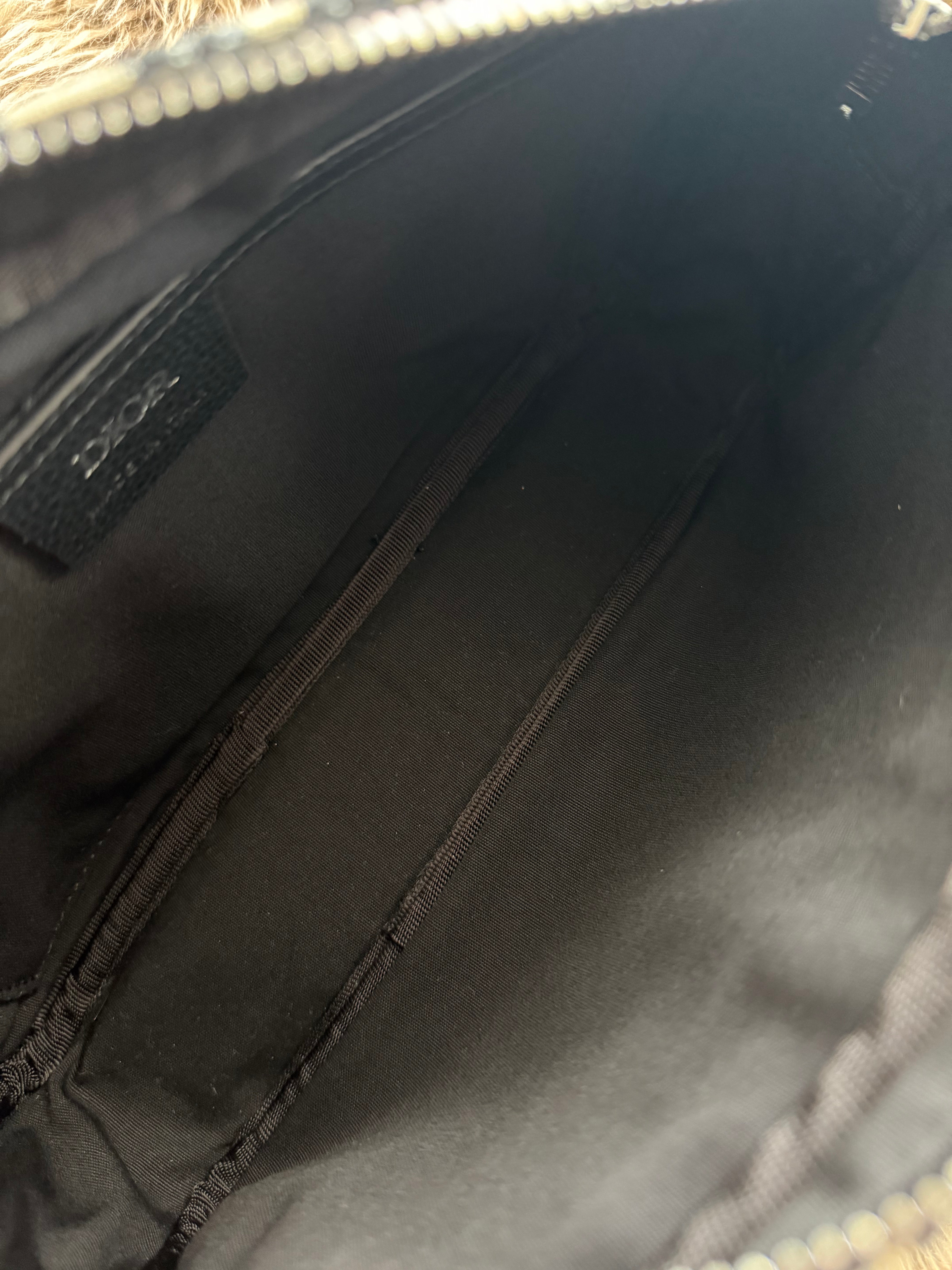 Dior Oblique Belt Bag