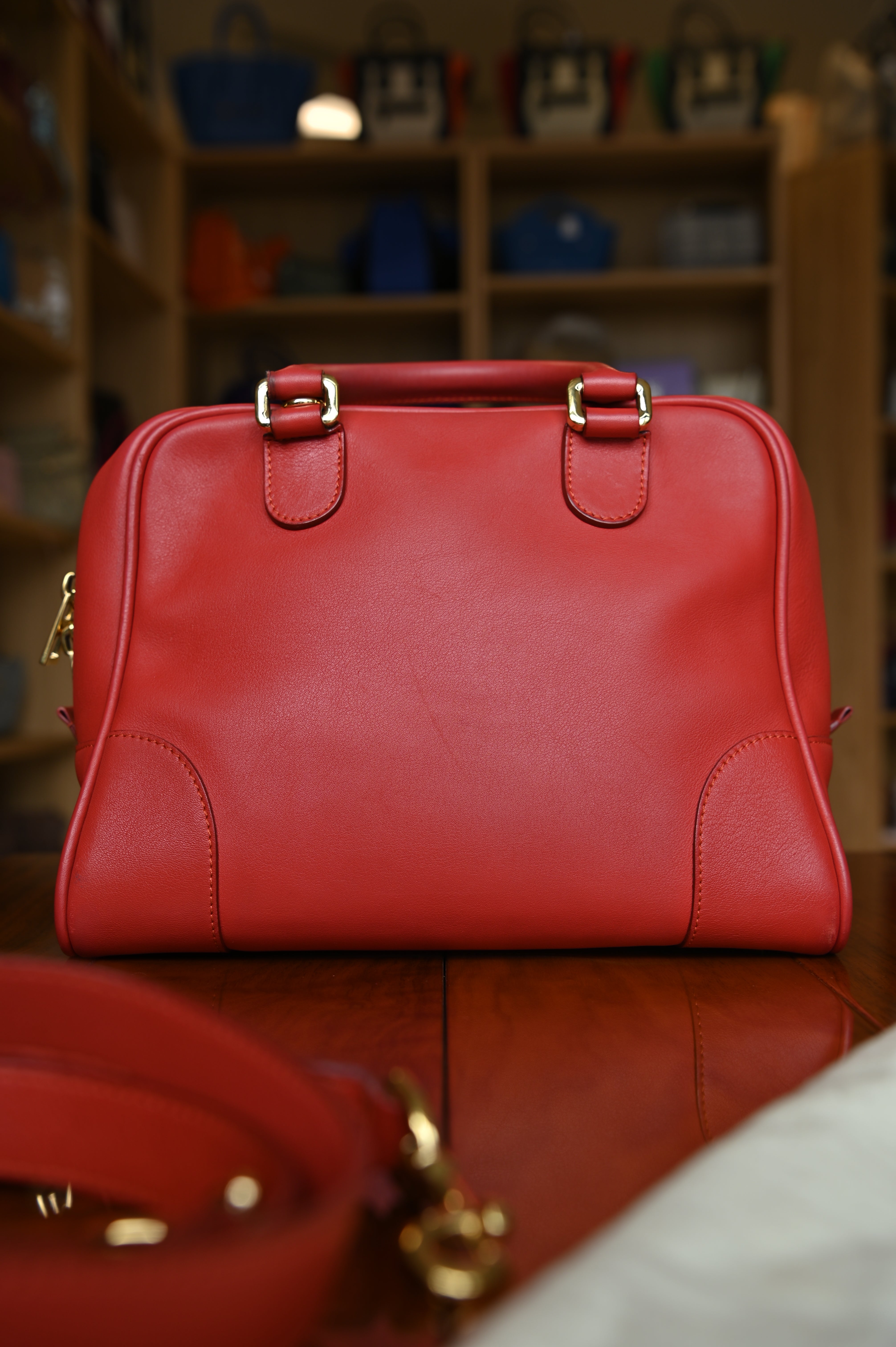 Loewe Pink Leather Bag back