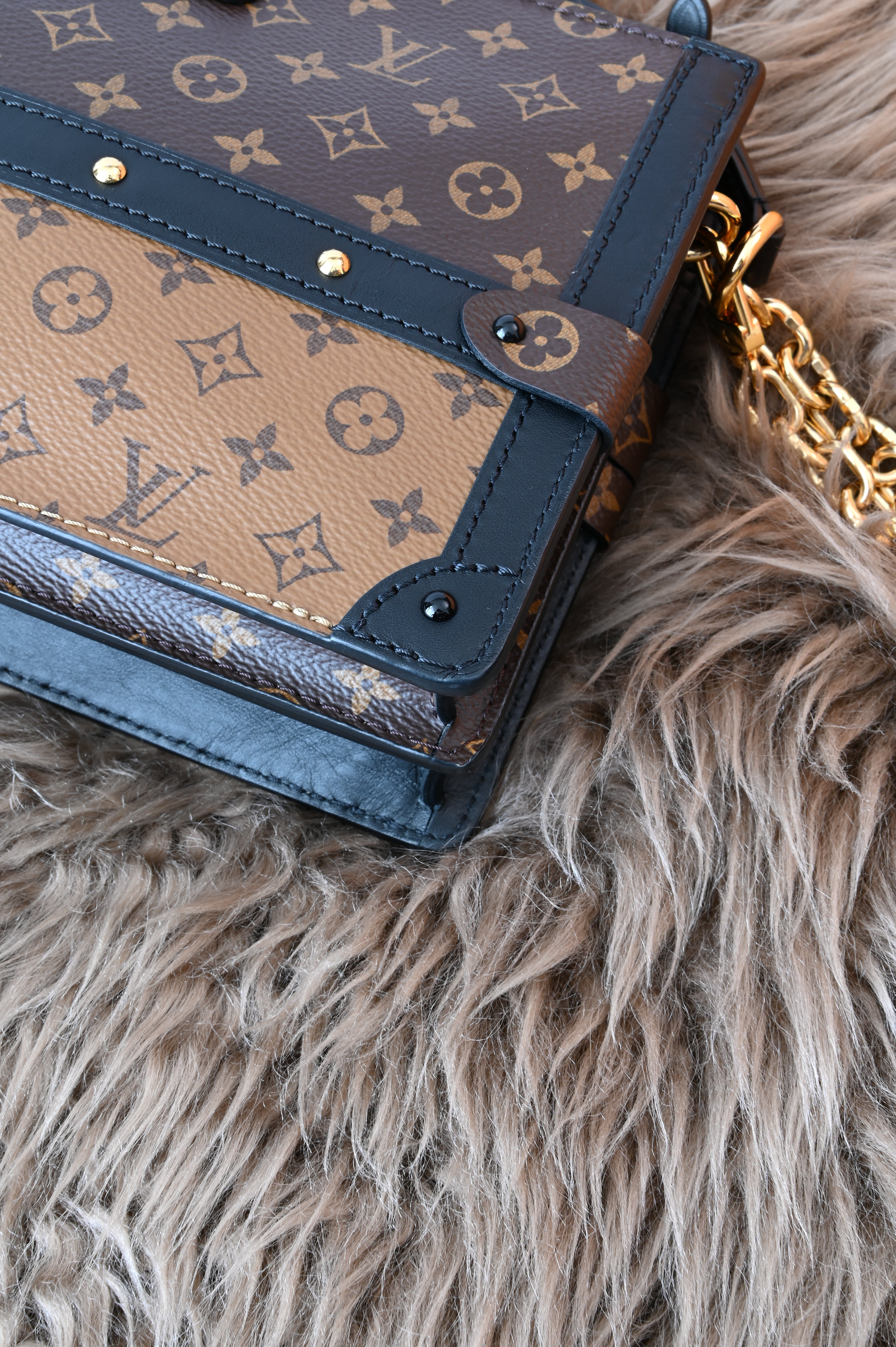 Louis Vuitton Trunk Clutch MNG M.Rev corner 4