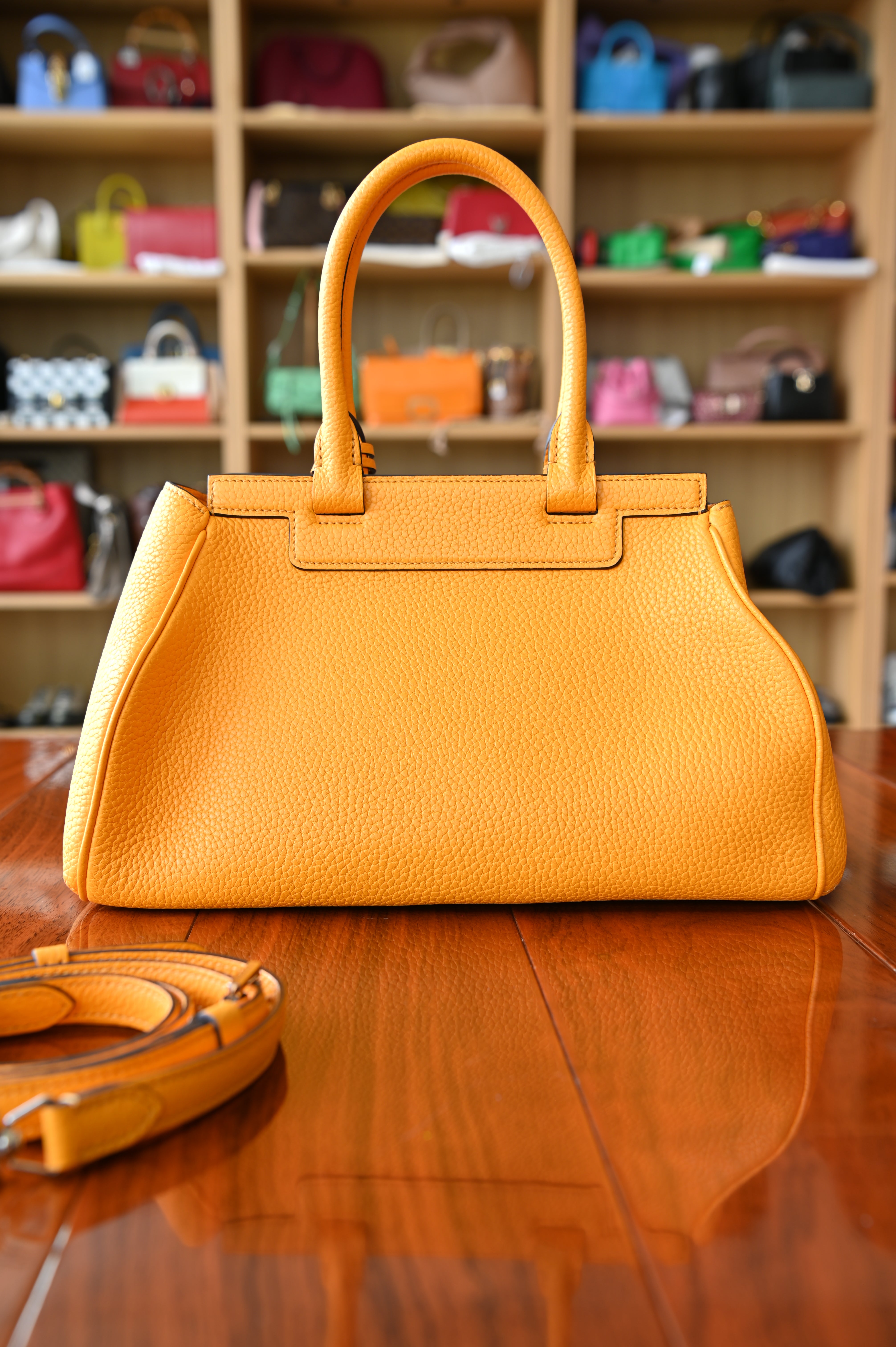Moynat Pauline Orange Bag back