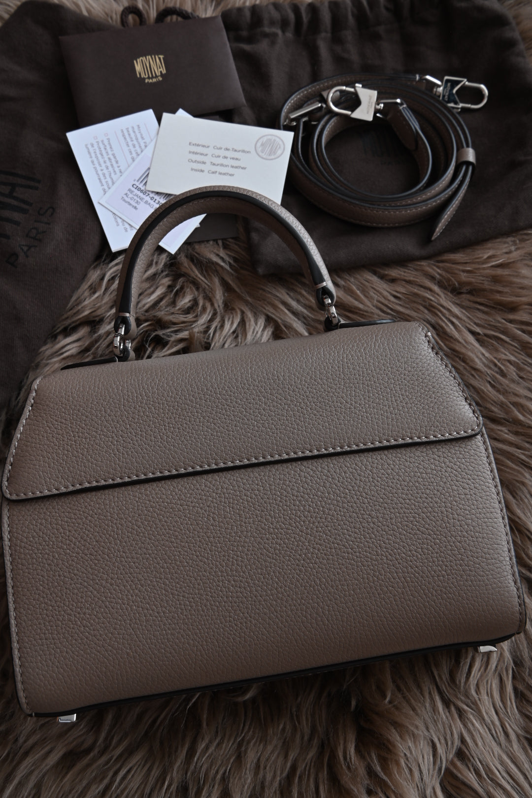 Moynat Rejane BB bag in Taupe back