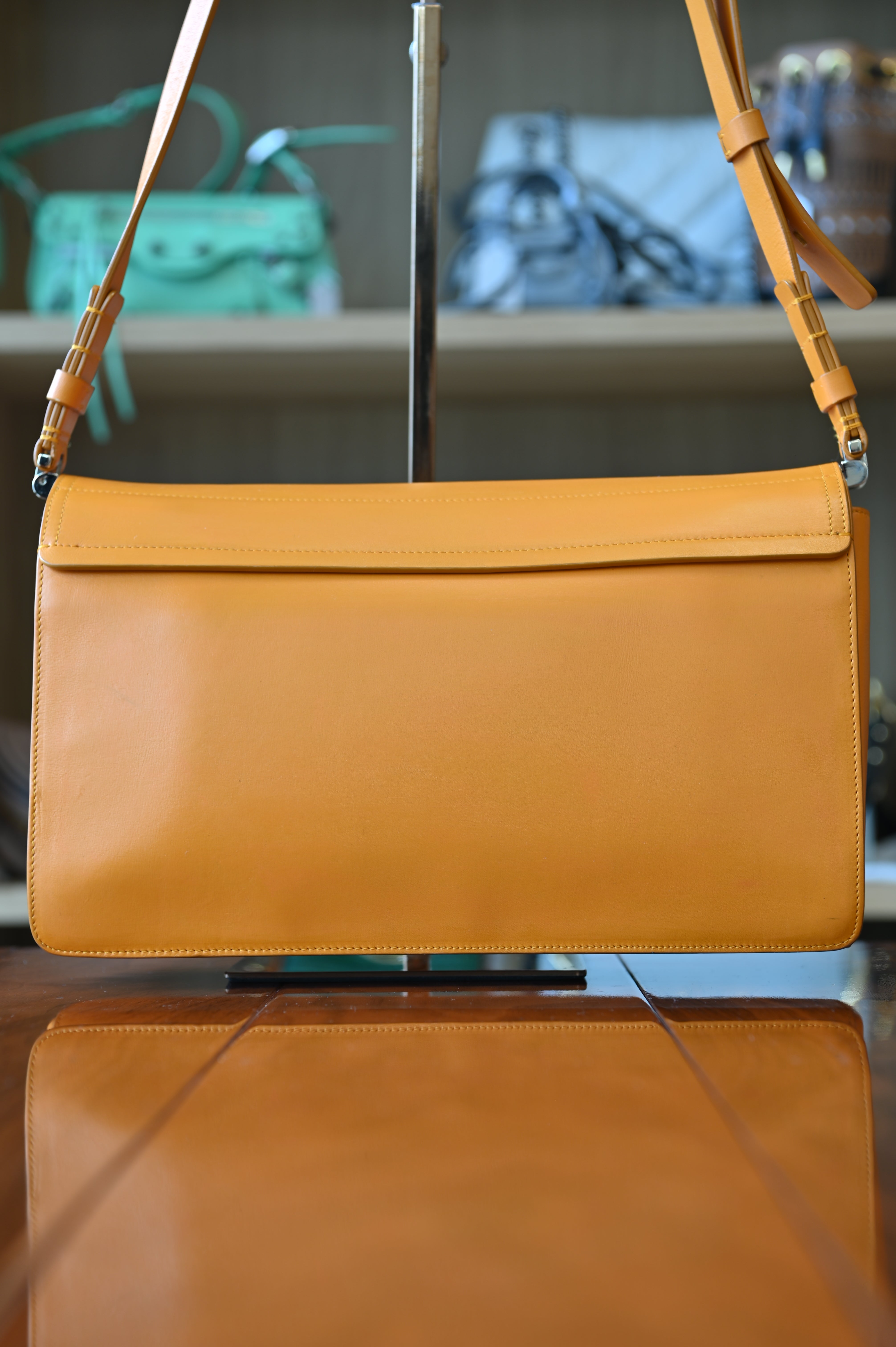 Roger Viver Turmeric Shoulder Bag back