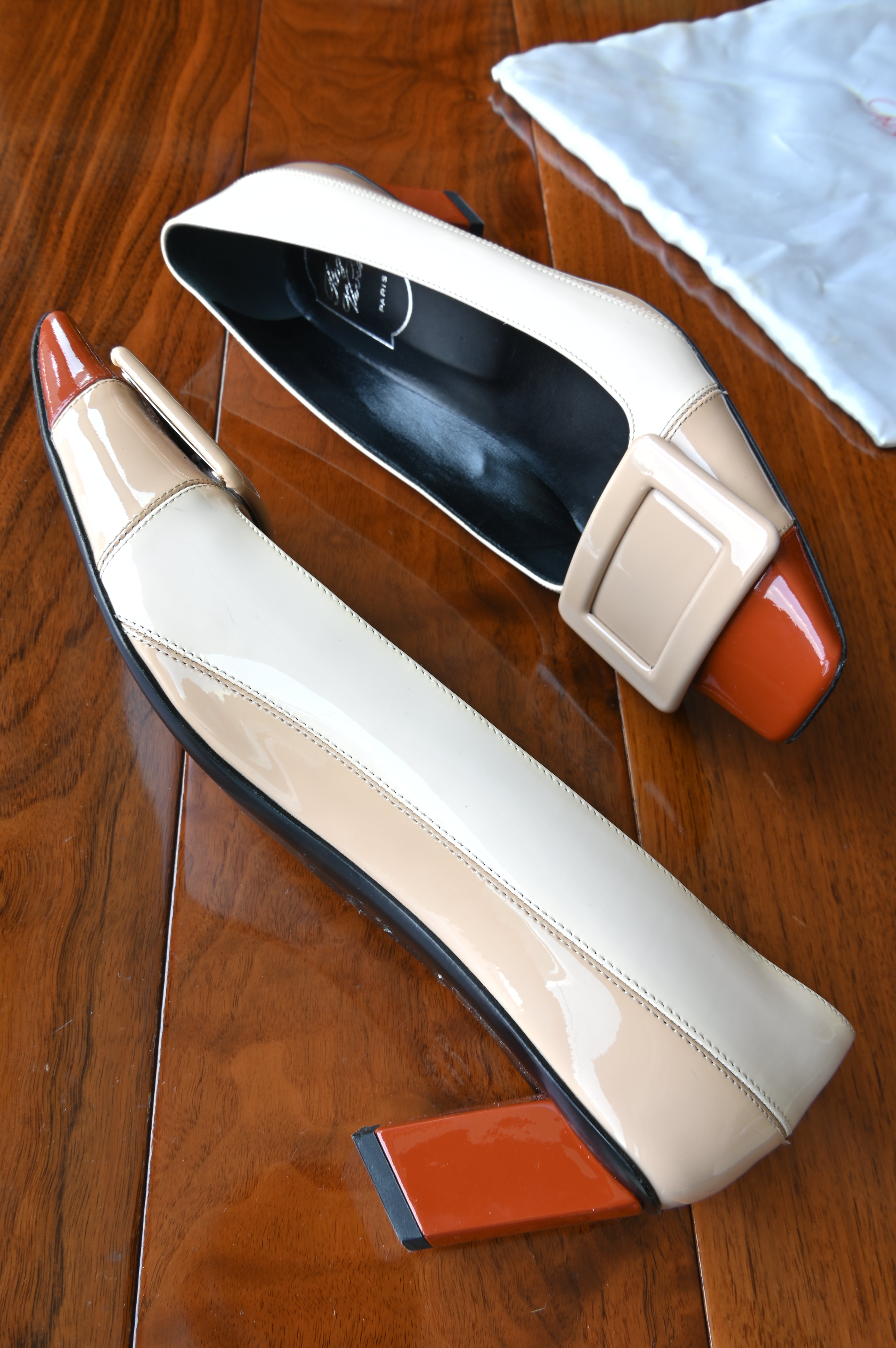 Roger Vivier Tricolor Buckle Pumps side two