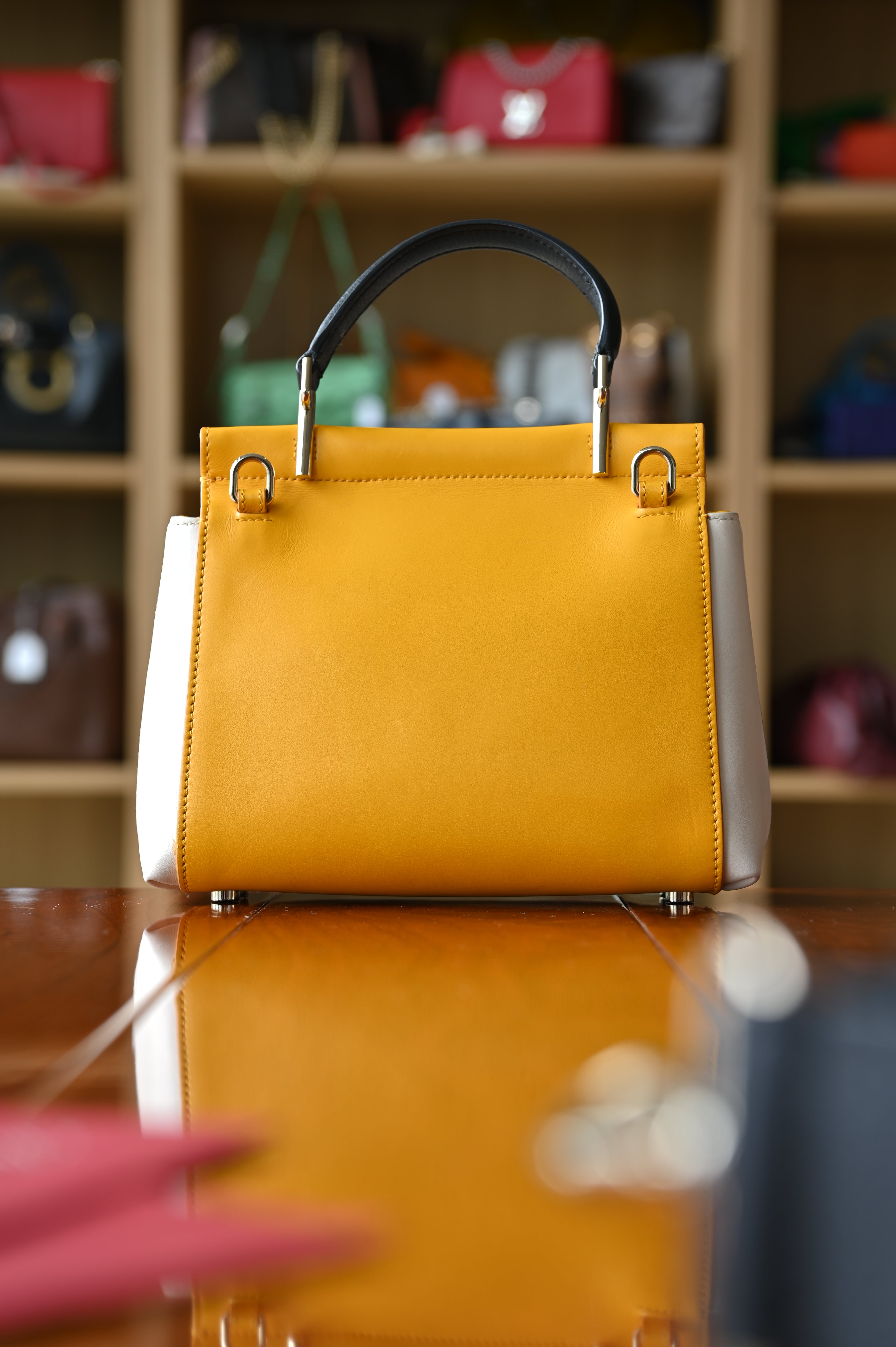 Roger Vivier Viv' Cabas Tri-Color Leather Bag back