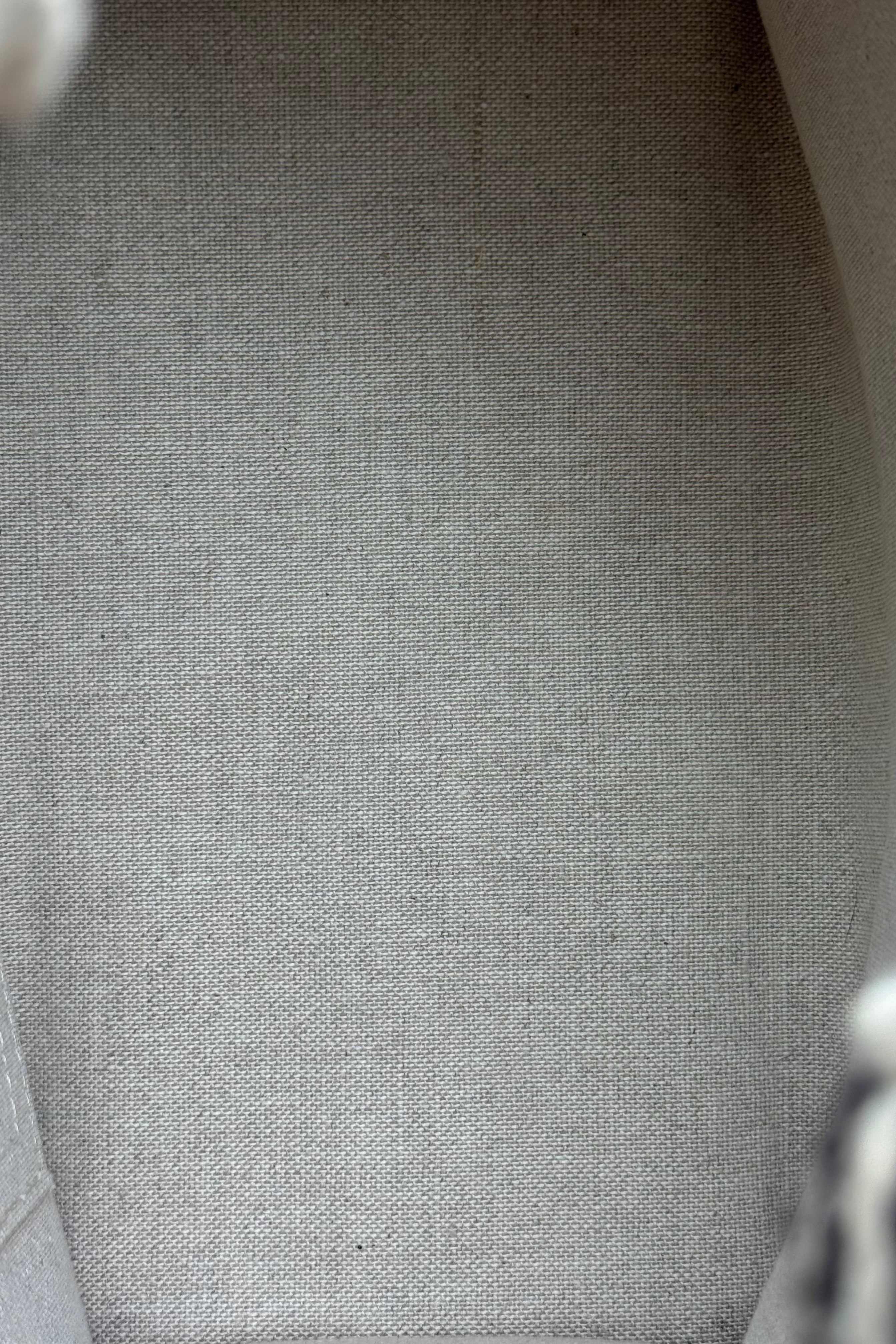 Close-up of the authentic Celine Small White Canvas Tote Bag showcasing the clean canvas weave and premium material texture.